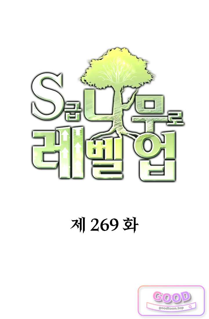 S급 나무로 레벨업 269화 1