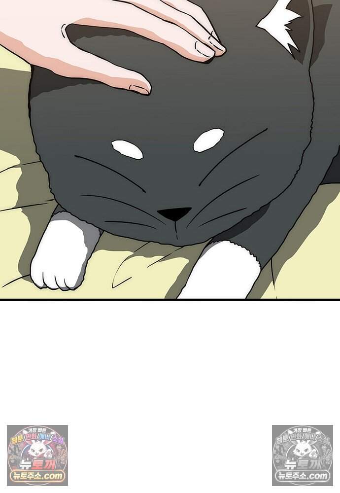 은퇴한 킬러는 힐링하고 싶다 14화 150