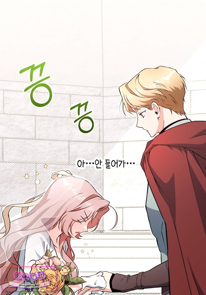 바이올렛 체로타의 졸속 결혼 3화 5