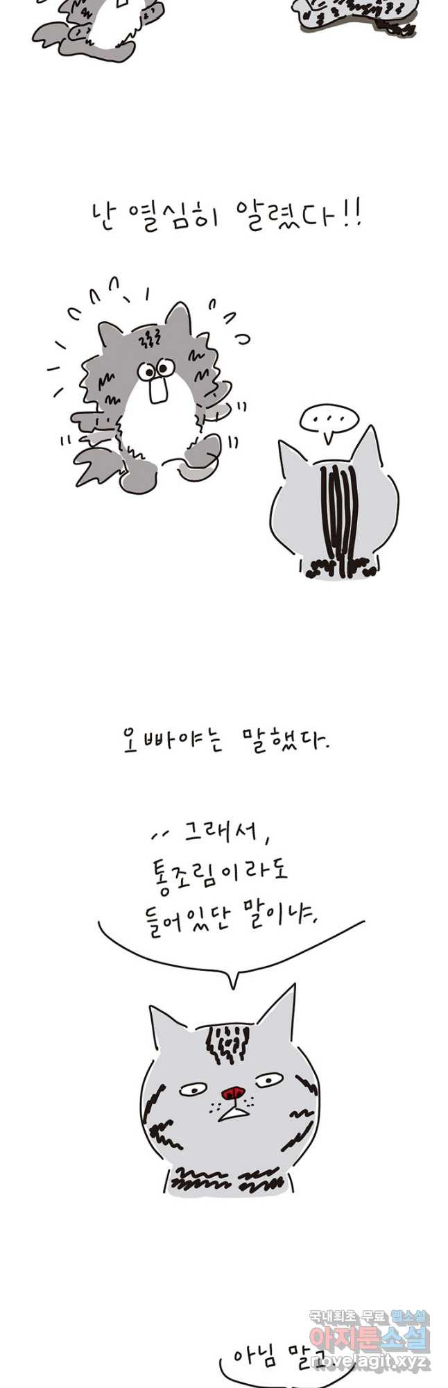 은동은동+옹동스 은동은동 은동구리 96화. 비밀창고와 선택받은 고양이 6