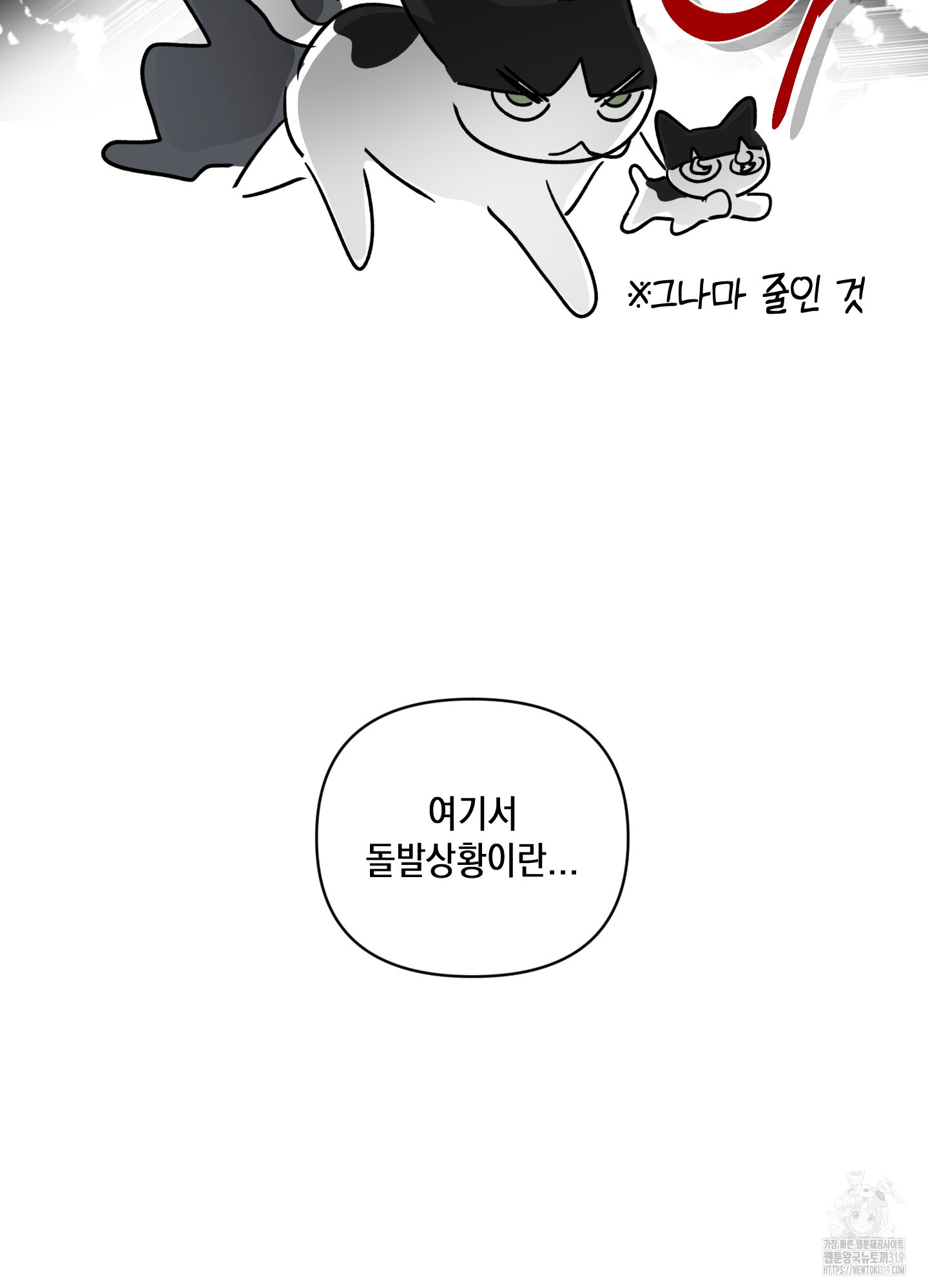 시금치 꽃다발 후기 6
