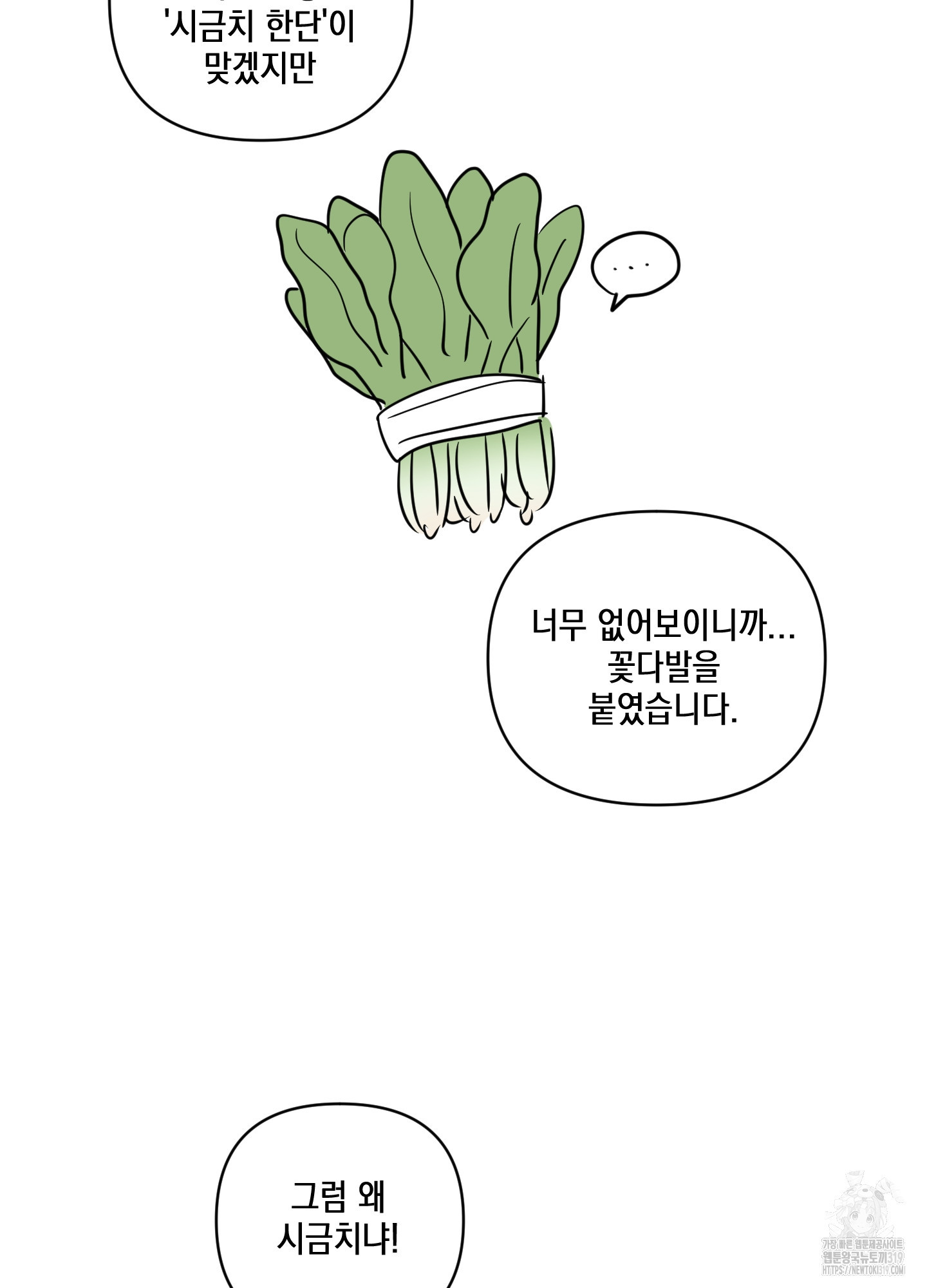 시금치 꽃다발 후기 32