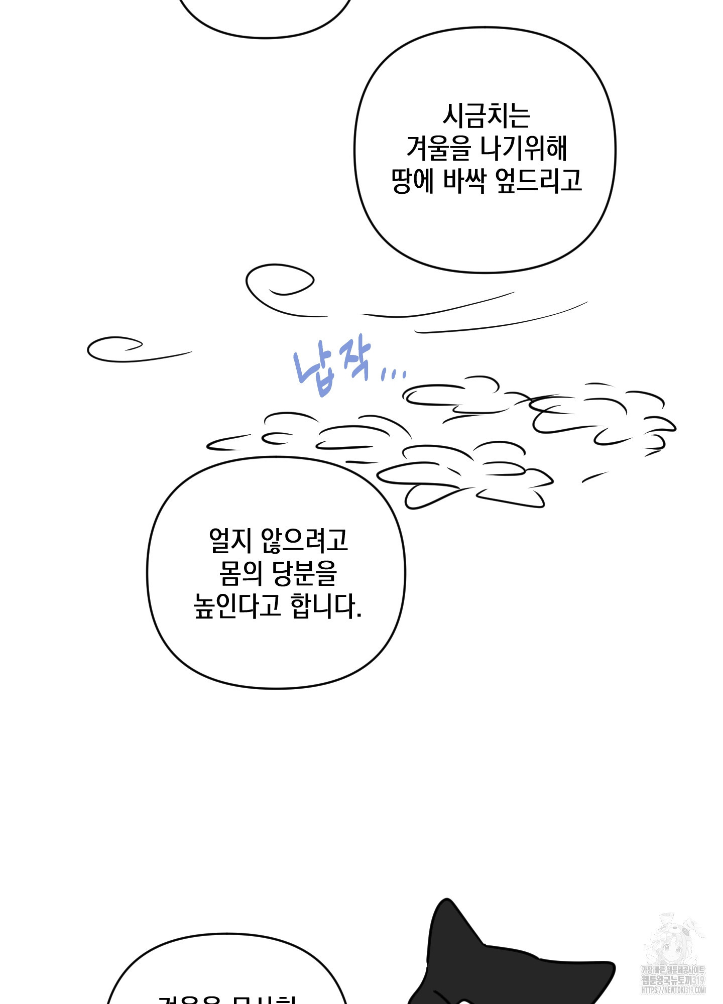 시금치 꽃다발 후기 33
