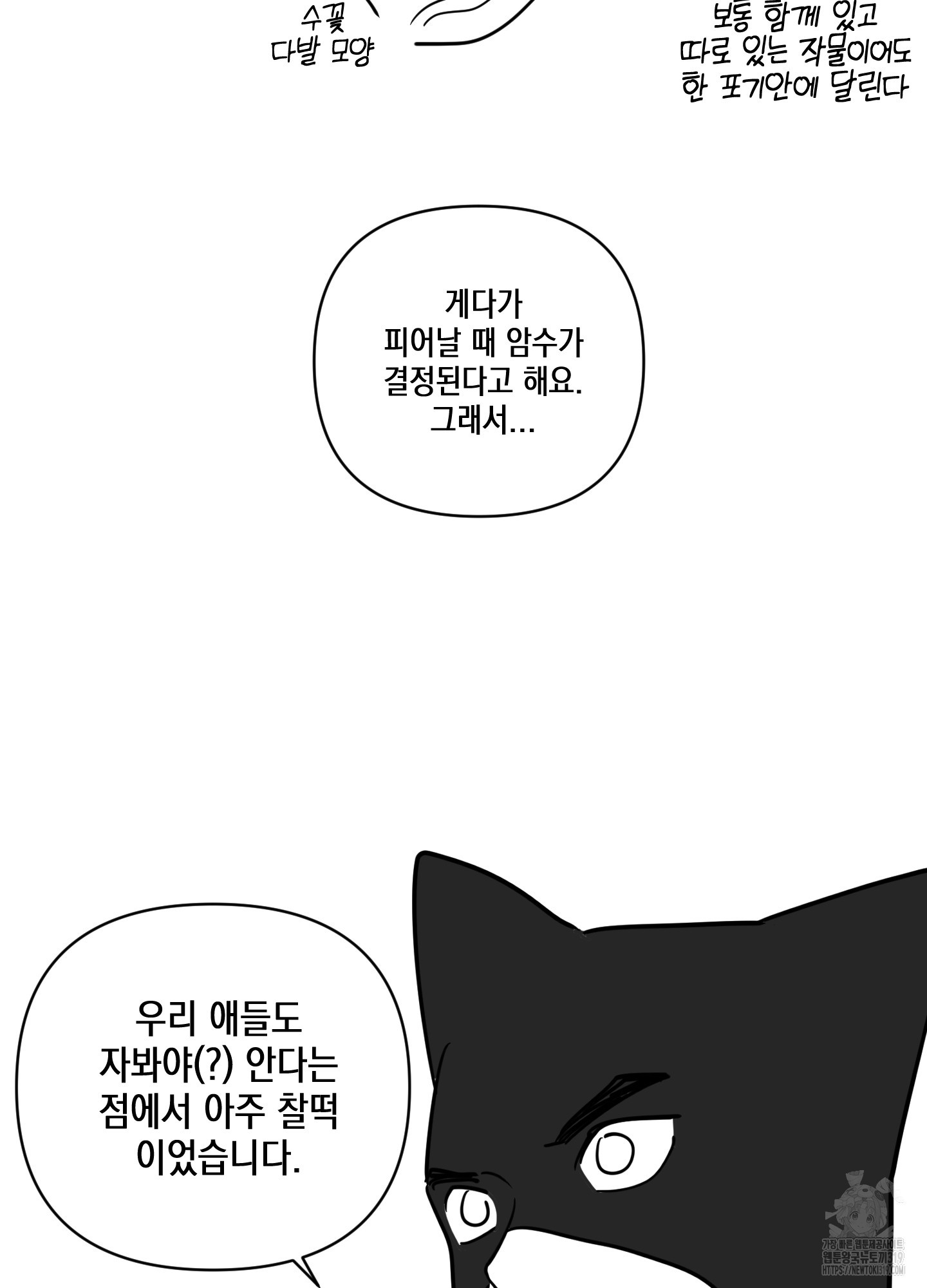 시금치 꽃다발 후기 35