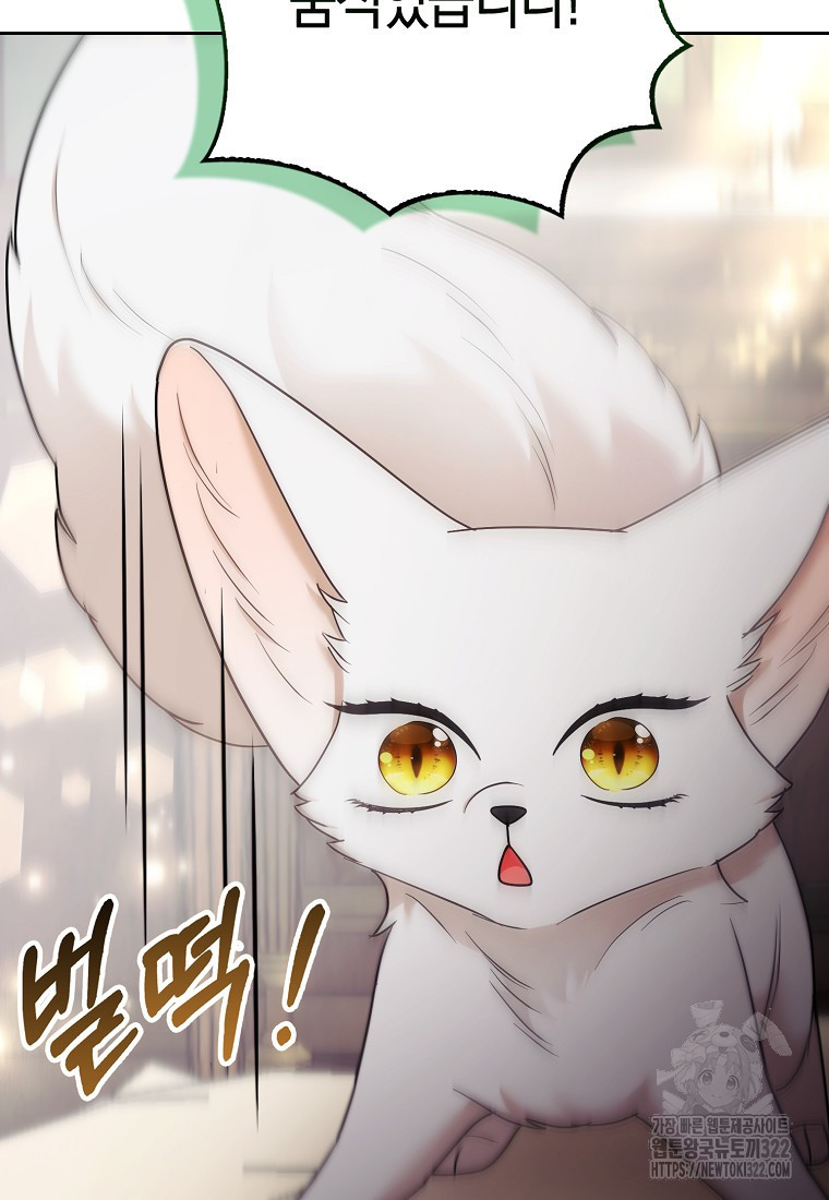 대공가의 여우 황녀님 31화 31