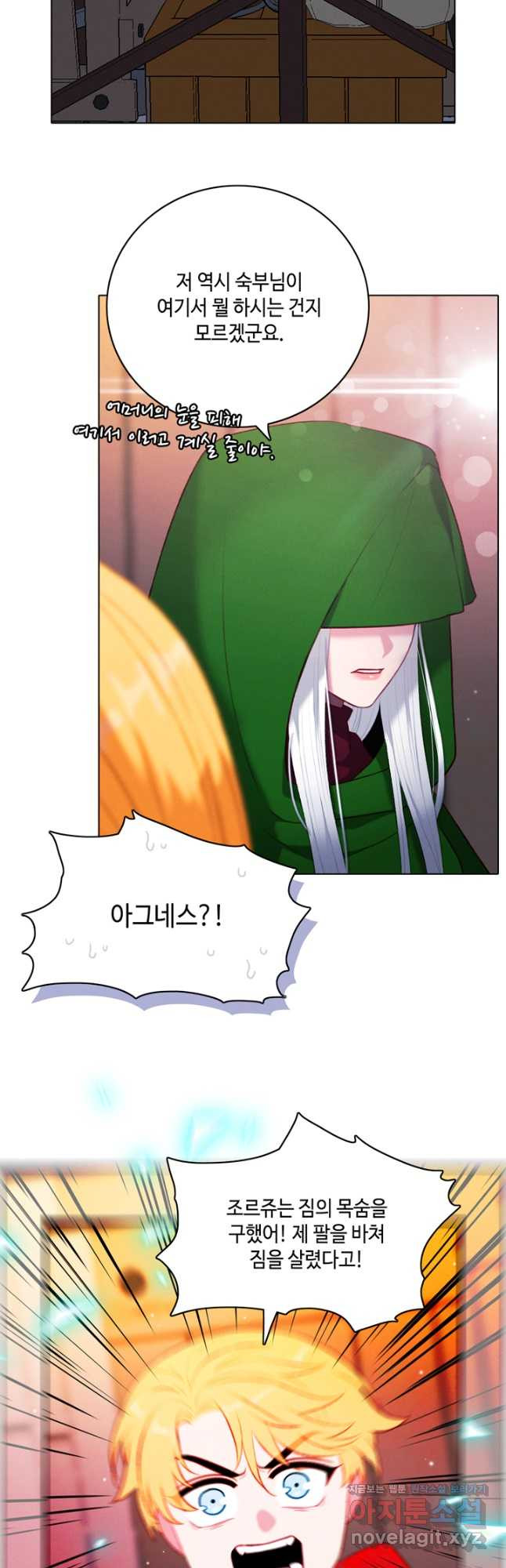 폭군의 누나로 산다는 것은 외전 3화 25