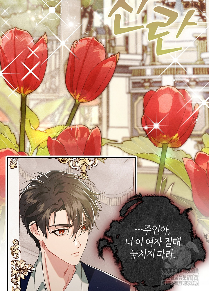 시한부 연인과 비혼 생활 중입니다 11화 43