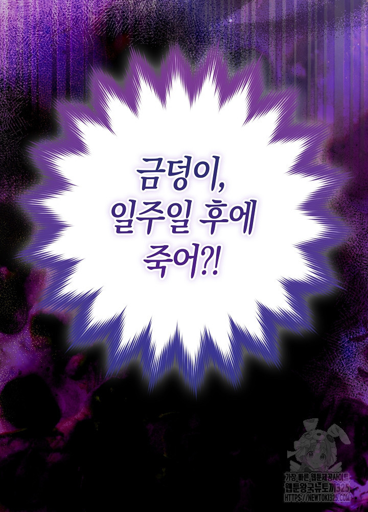 시한부 연인과 비혼 생활 중입니다 11화 101