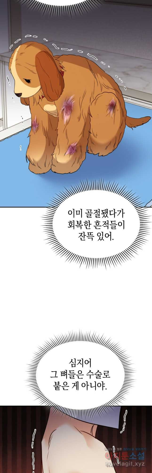 수의사님! 안녕하세요 43화 3