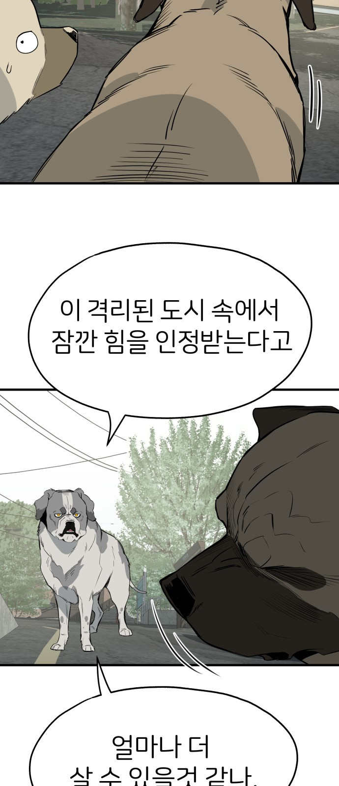 개같이 탈출 26화 19