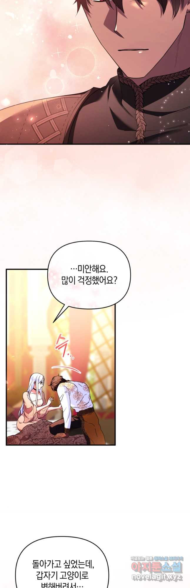 술탄의 귀한 고양이가 되었습니다 42화 8