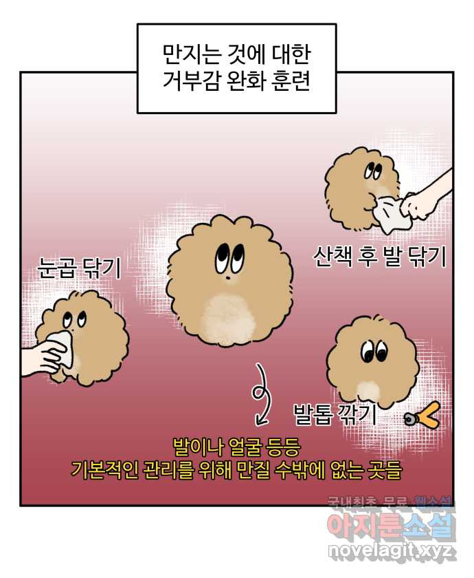 강아지는 멍멍하고 짖지 않아! 70화 - 사회화 훈련 4