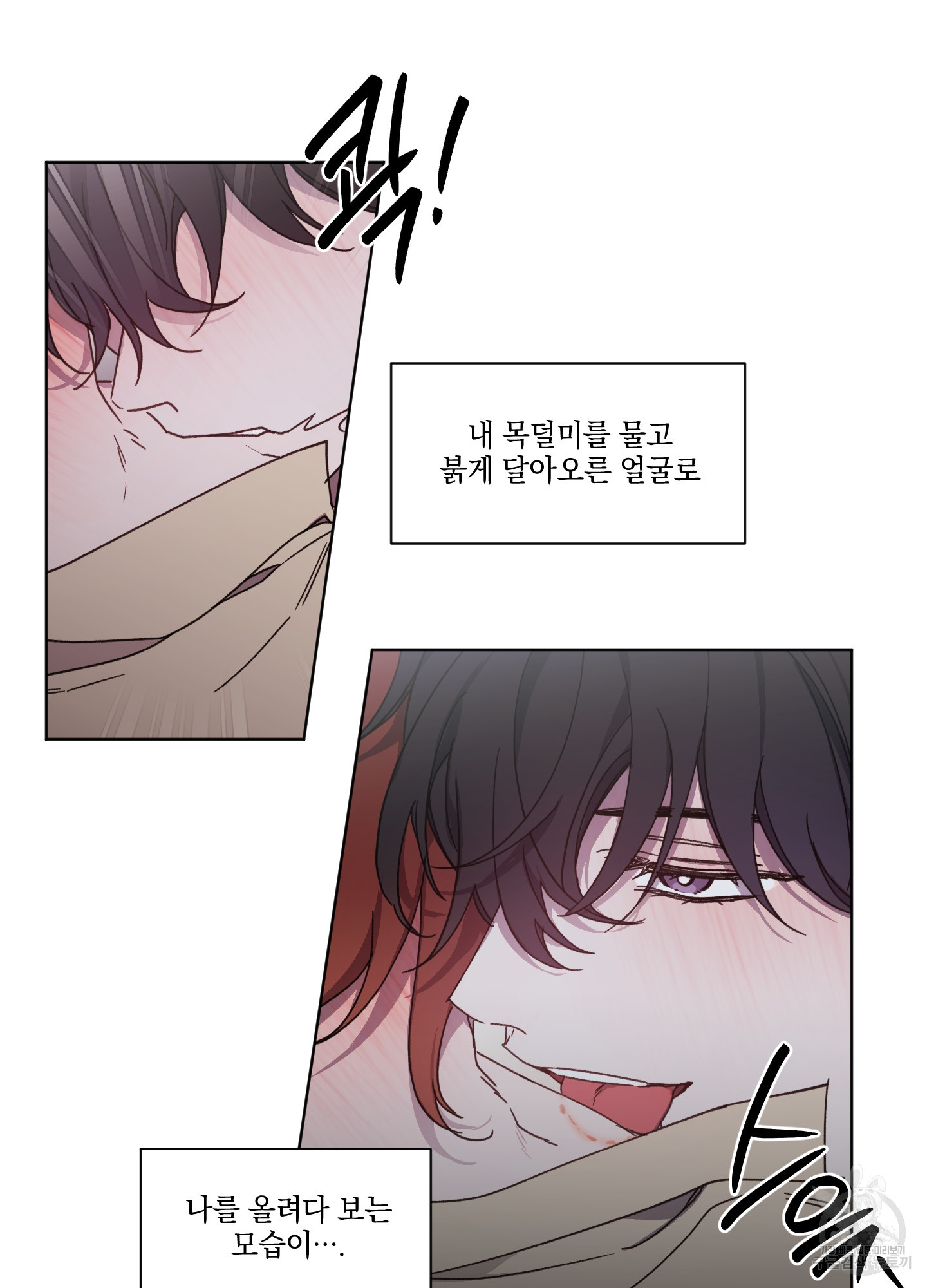 백작님! 사랑을 주세요 42화 8
