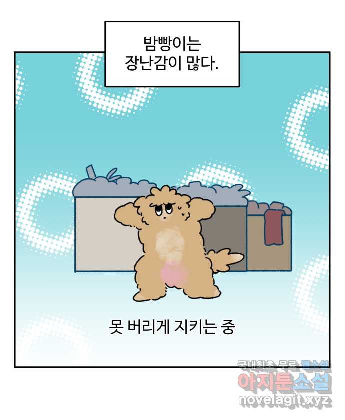 강아지는 멍멍하고 짖지 않아! 72화 - 애착 장난감 1